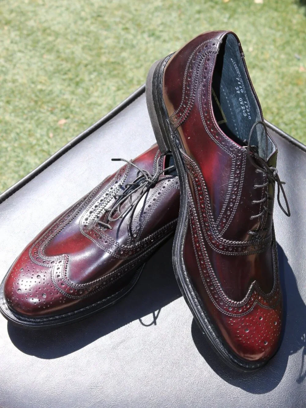 Stuart McGuire Longwing Blucher 